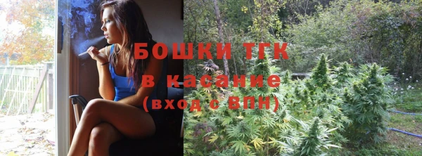 дмт Костерёво