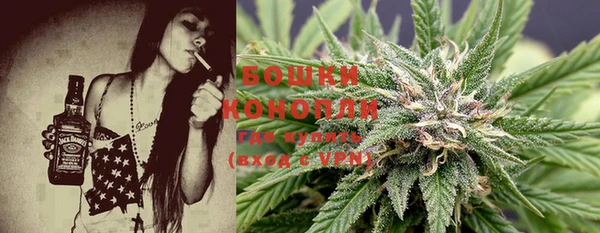 дмт Костерёво