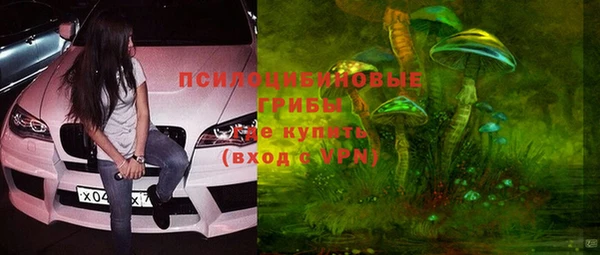 ECSTASY Корсаков