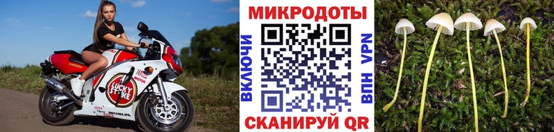 Купить закладки  Обнинск  Галлюциногенные грибы мицелий 